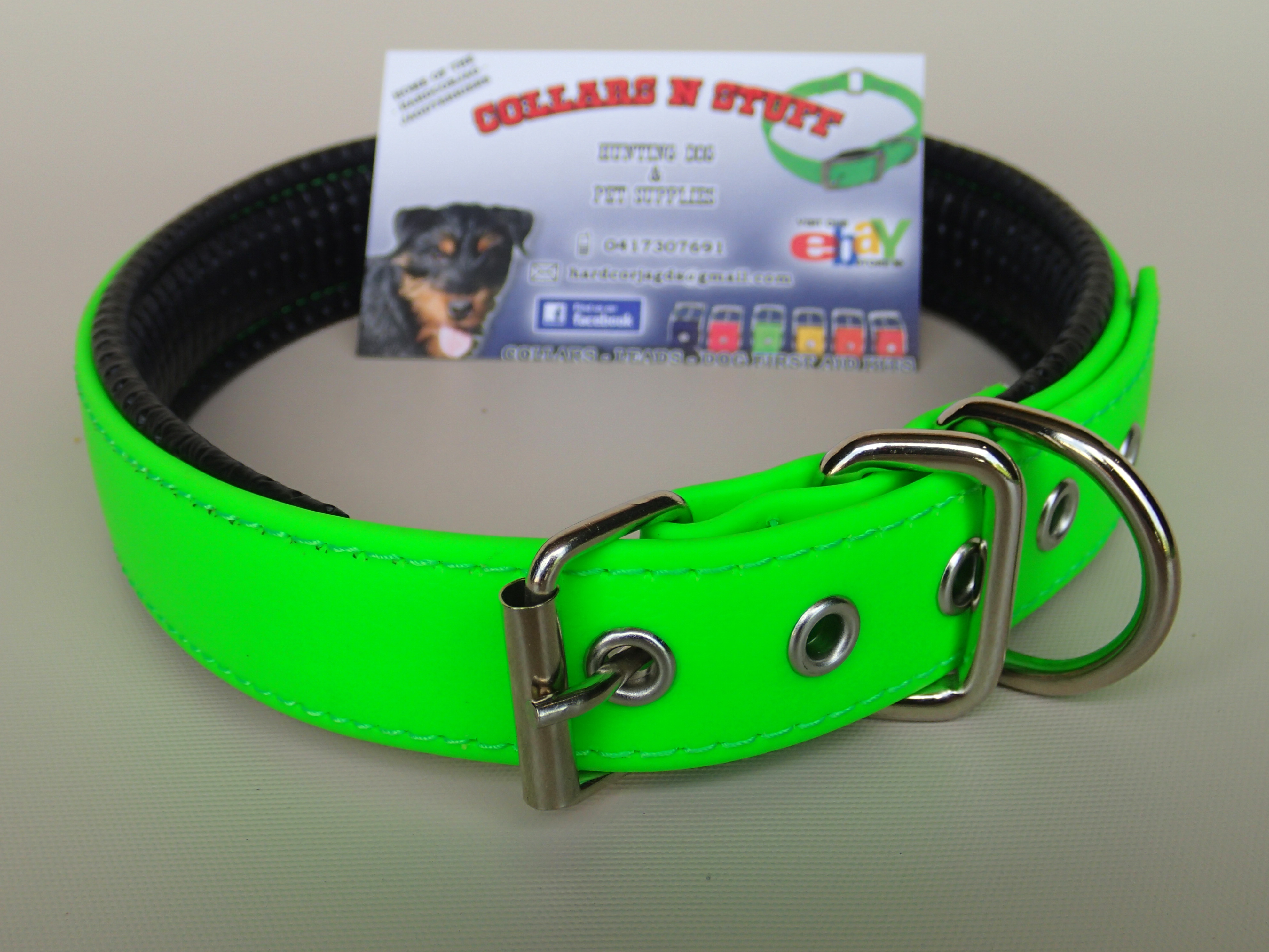 Padded Dog Collar Meduim to Large dogs 25mm x 600mm Green Collars N