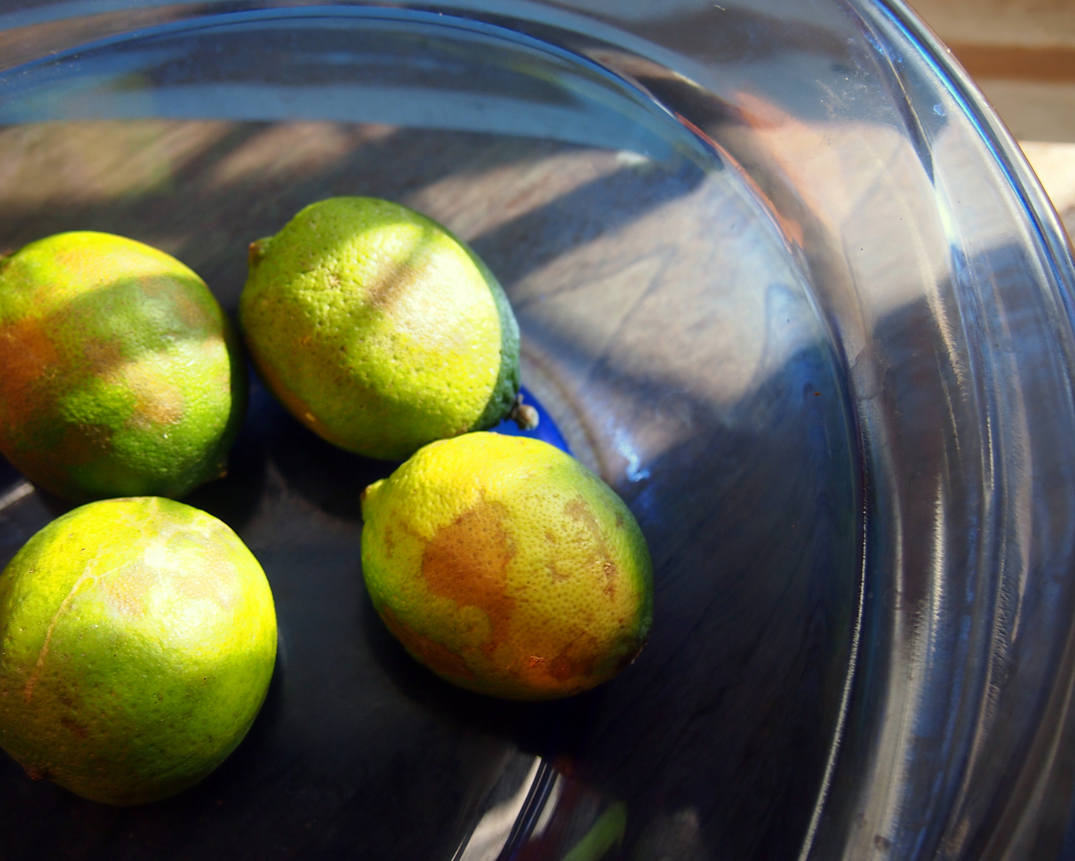Collected Quotidian » Kitchen Tip how to juice old limes