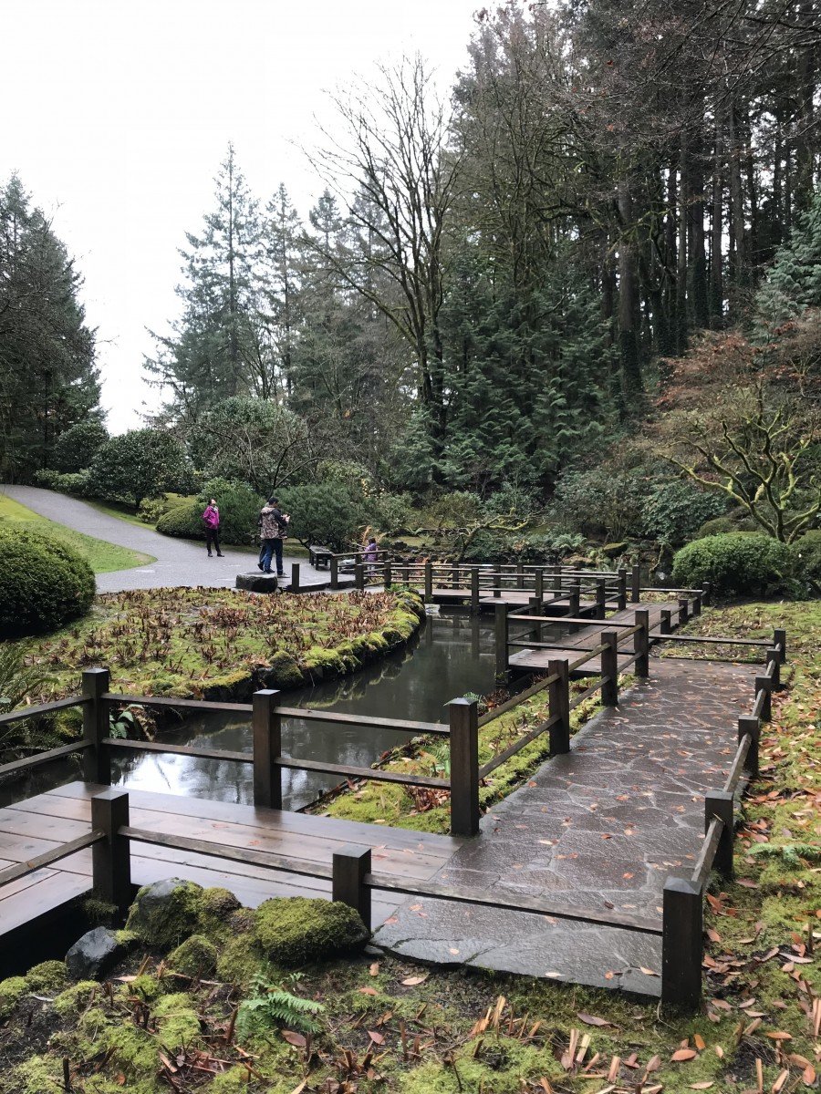 Finding Peace and Calm Portland Japanese Tea Garden Collecting EXP