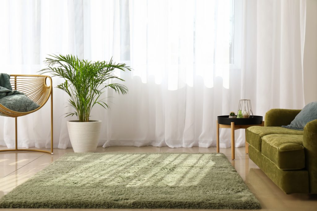 What Color Curtains Go with a Green Couch? (12 Examples with Images