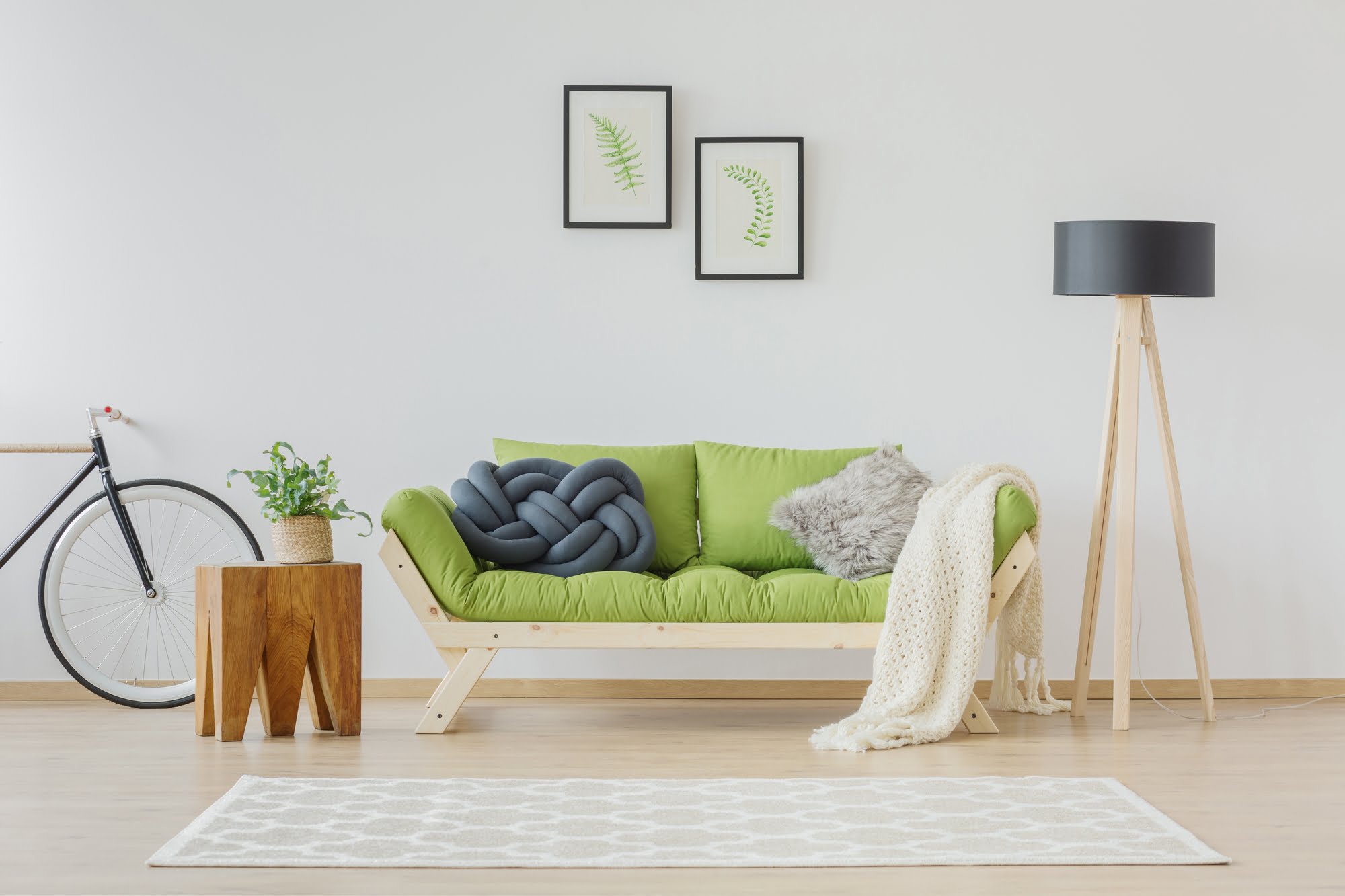 What Color Rug Goes with a Green Couch? (17 Examples with Images