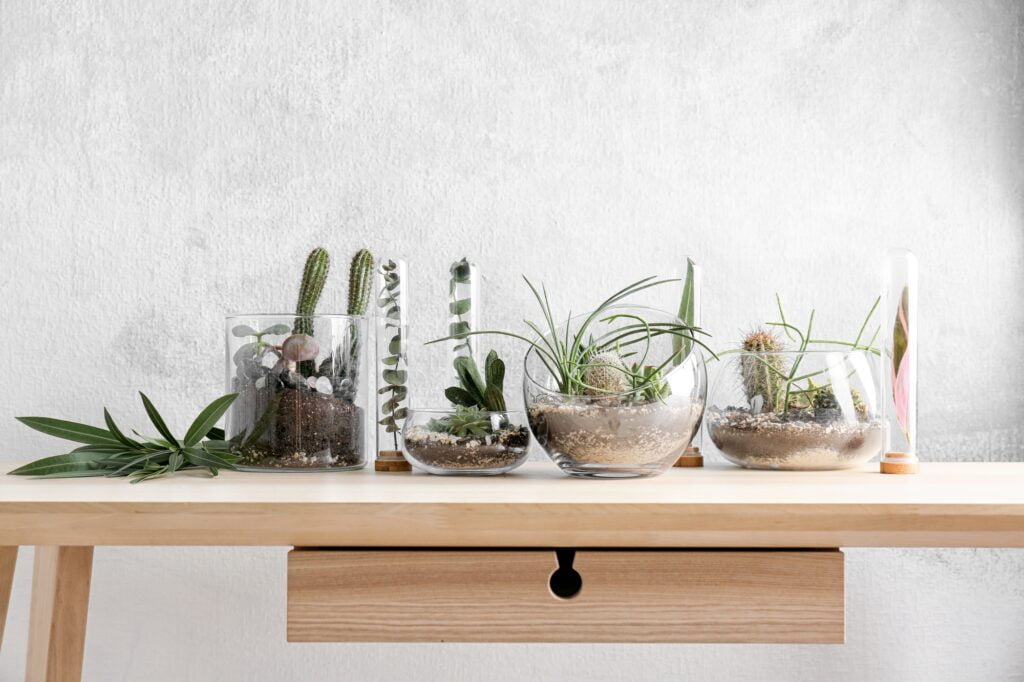 What to Put In Glass Bottles or Vases for Decoration? (25 Ideas