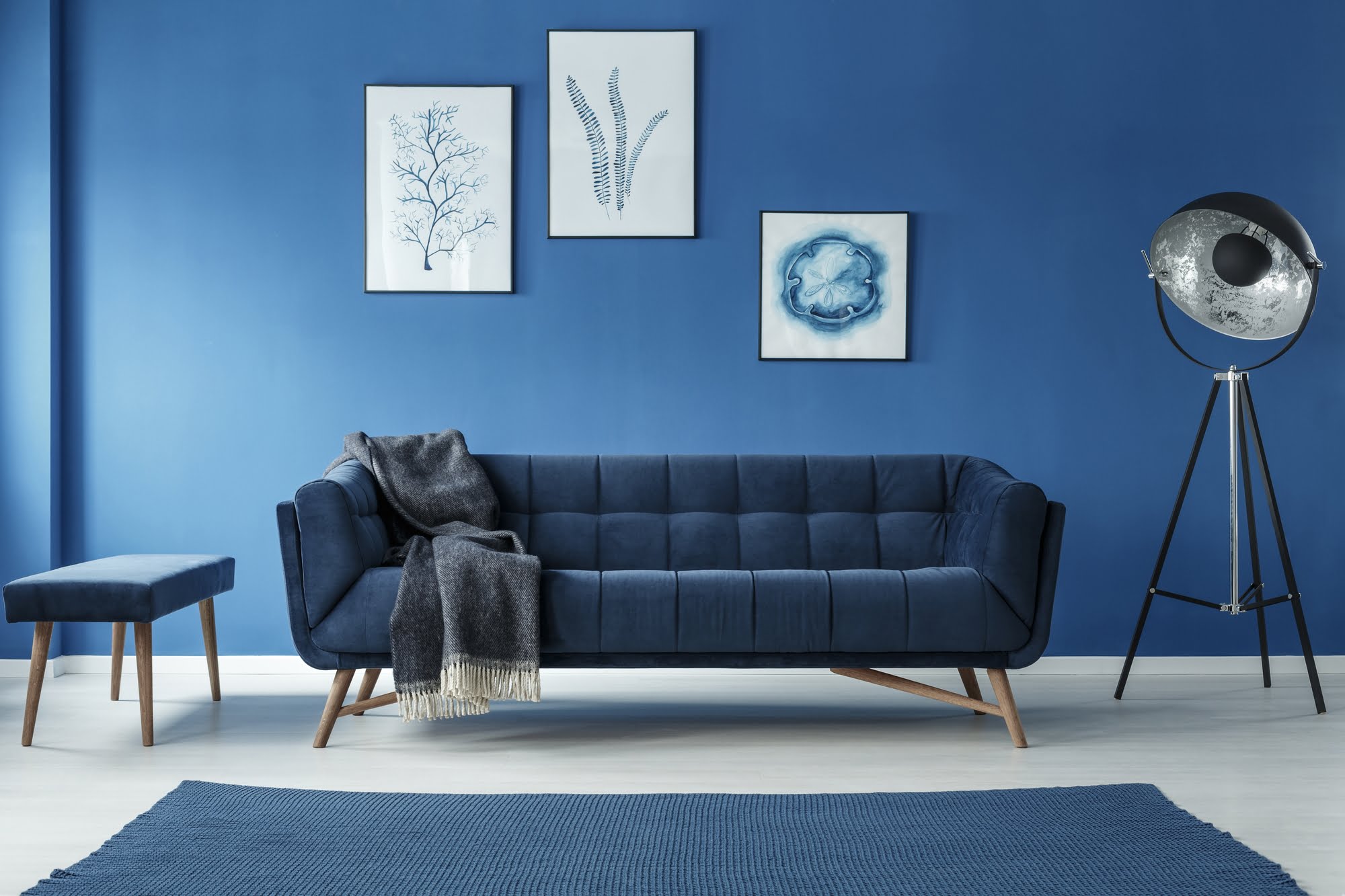 How to Decorate a Blue Sofa? (30 Ideas with Pictures) Collection a day