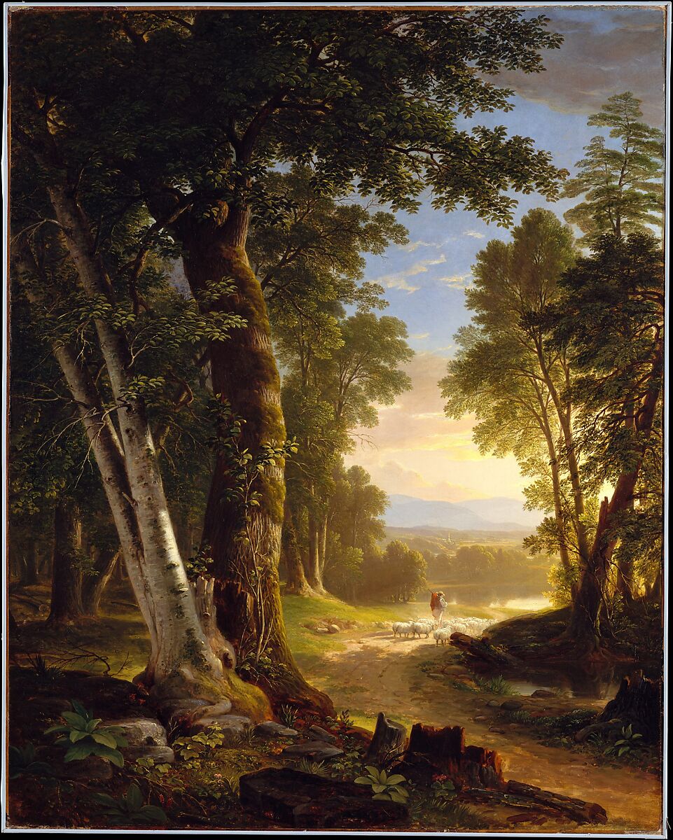 Asher Brown Durand The Beeches American The Metropolitan Museum of Art