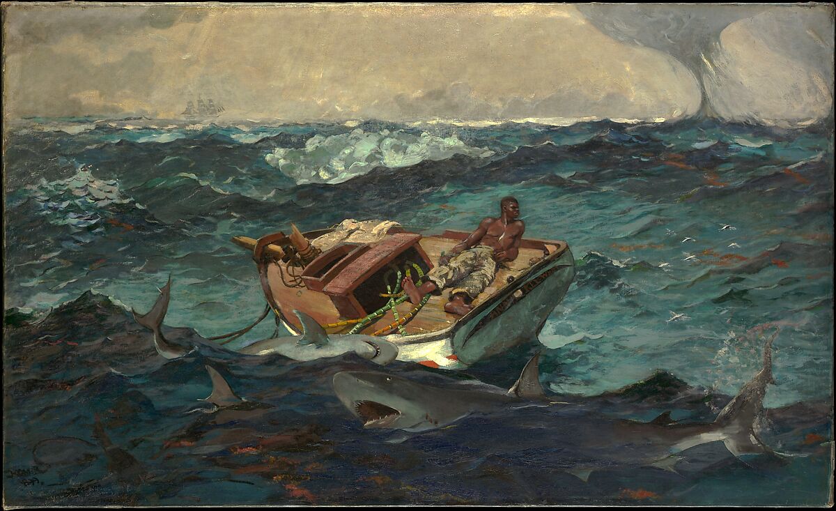 Winslow Homer The Gulf Stream American The Metropolitan Museum of Art