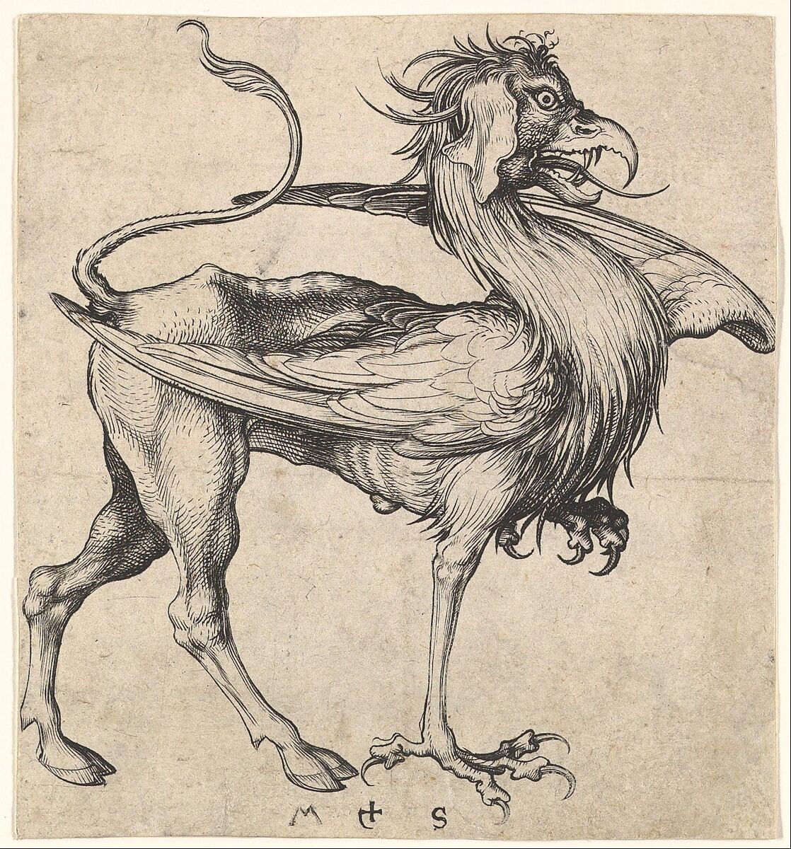 Martin Schongauer Griffin The Metropolitan Museum of Art