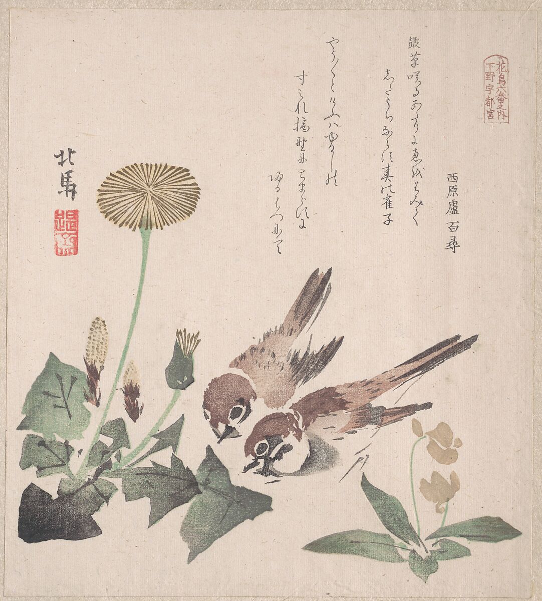 Teisai Hokuba Spring Rain Collection (Harusame shū), vol. 3 Sparrows