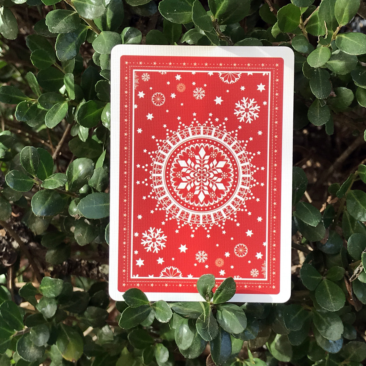 Christmas Playing Cards by Natalia Silva, 2017 Edition Collection playing cards