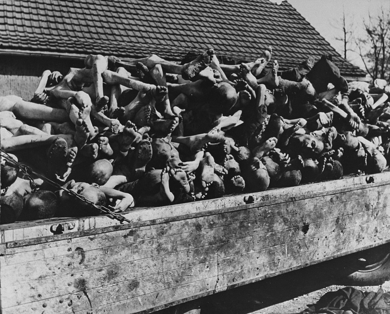 Dead Bodies From The Holocaust
