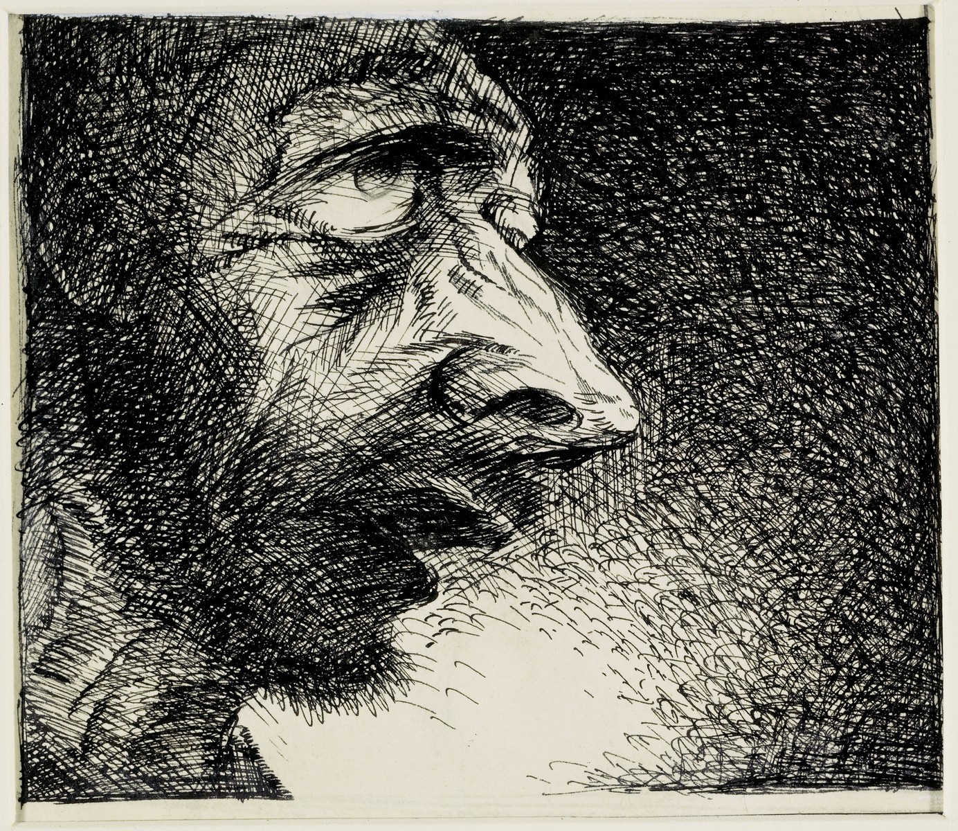 Collections Search United States Holocaust Memorial Museum