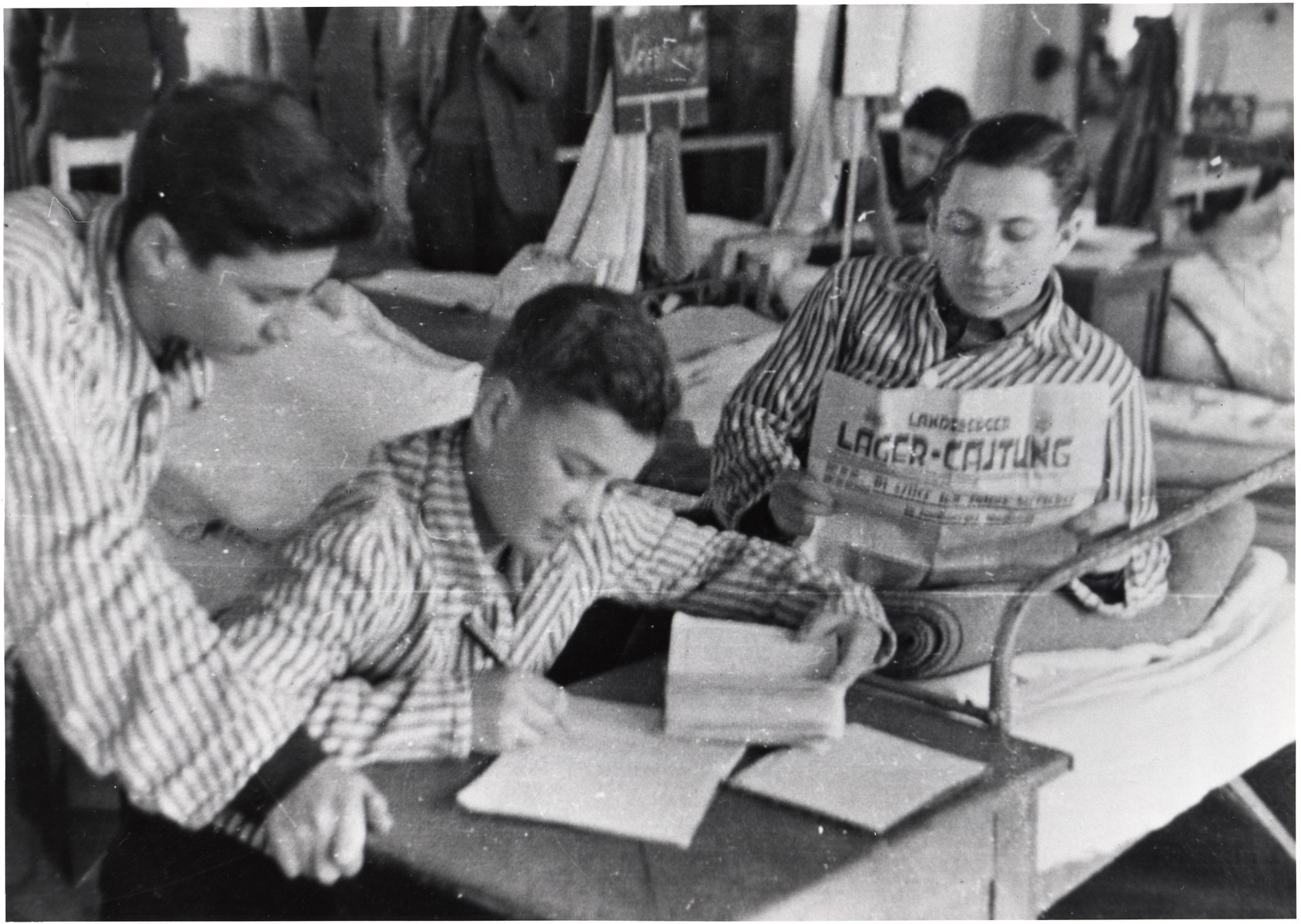 Collections Search United States Holocaust Memorial Museum