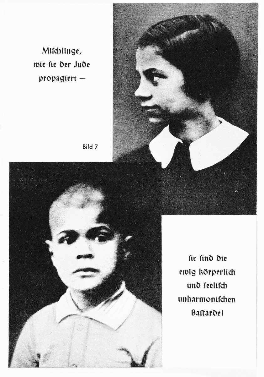 Collections Search United States Holocaust Memorial Museum