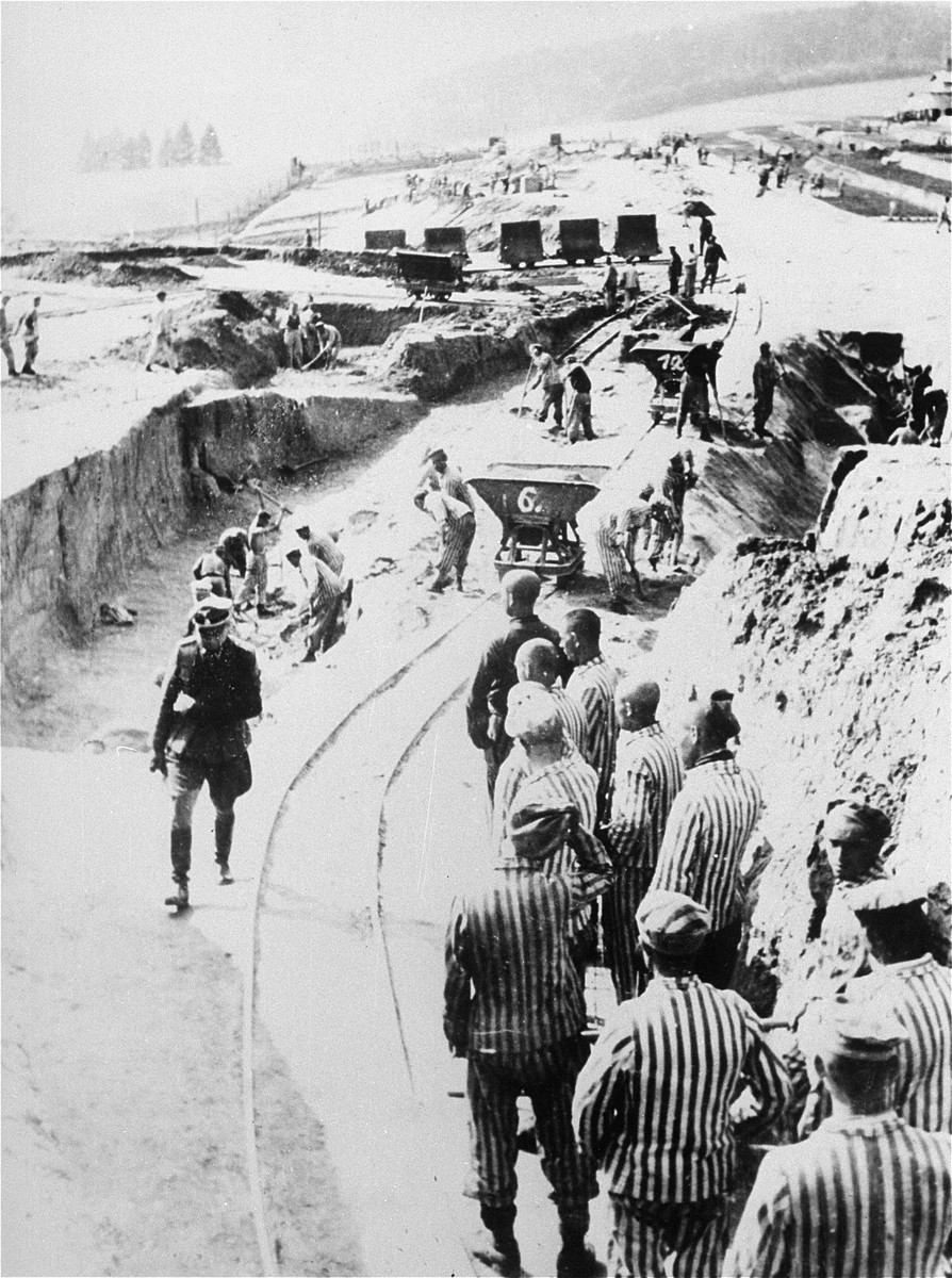 Collections Search United States Holocaust Memorial Museum