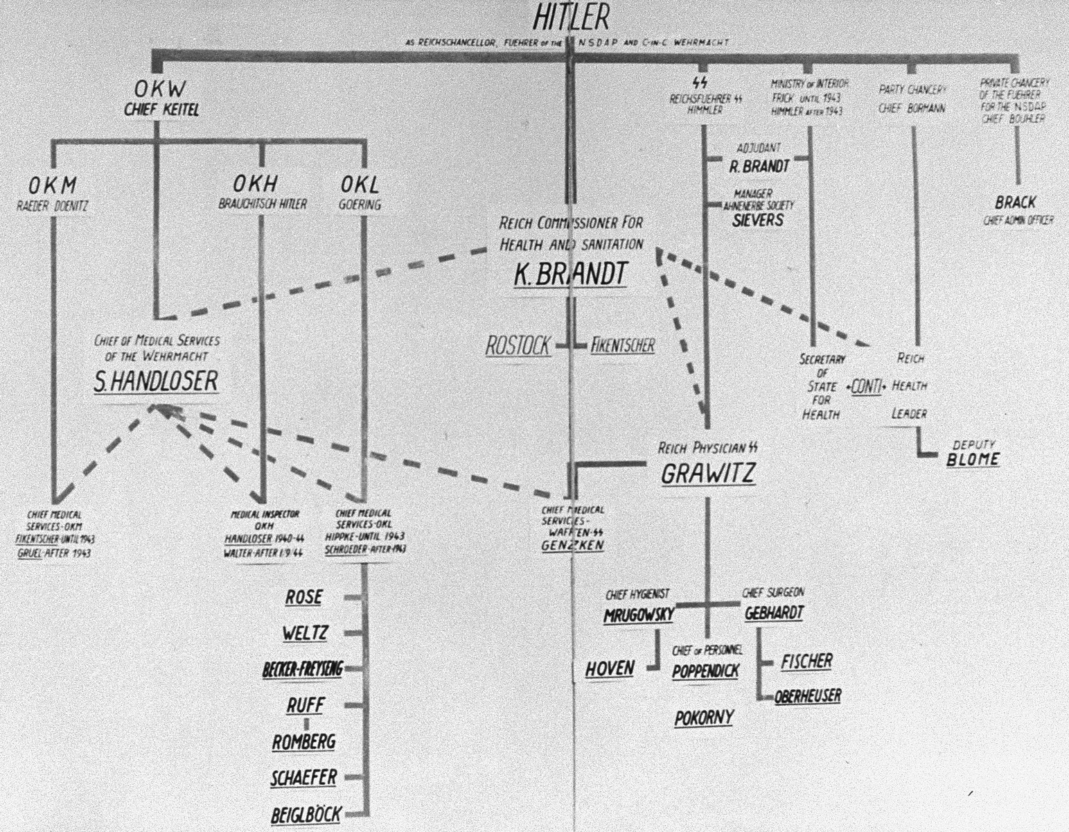 A diagram of the medical chain of command in the Third Reich, drawn up