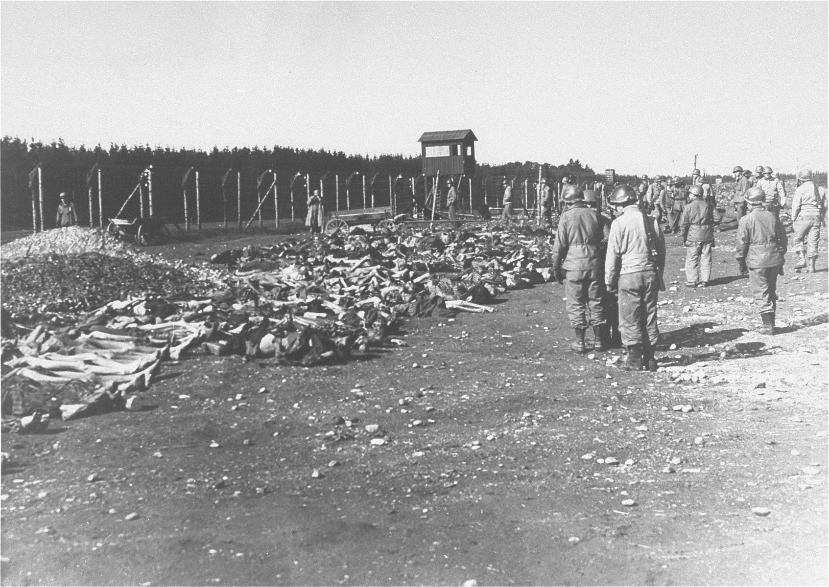 American soldiers view the bodies of Kaufering IV prisoners, which have