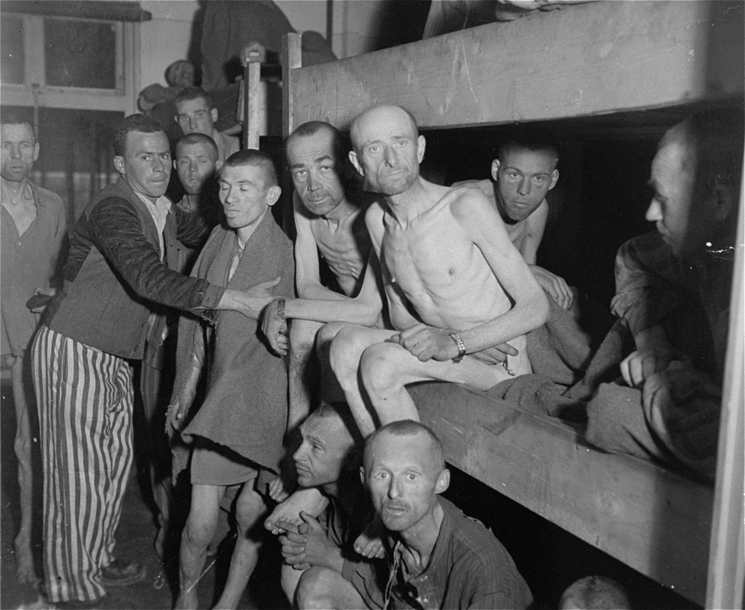 Collections Search United States Holocaust Memorial Museum