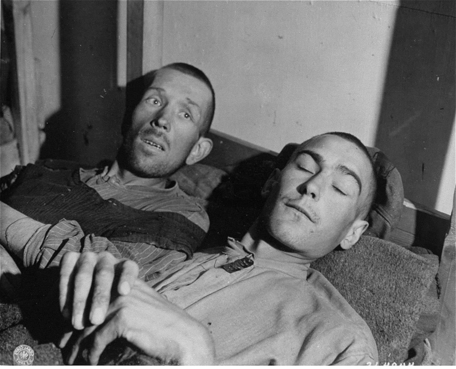 Collections Search United States Holocaust Memorial Museum