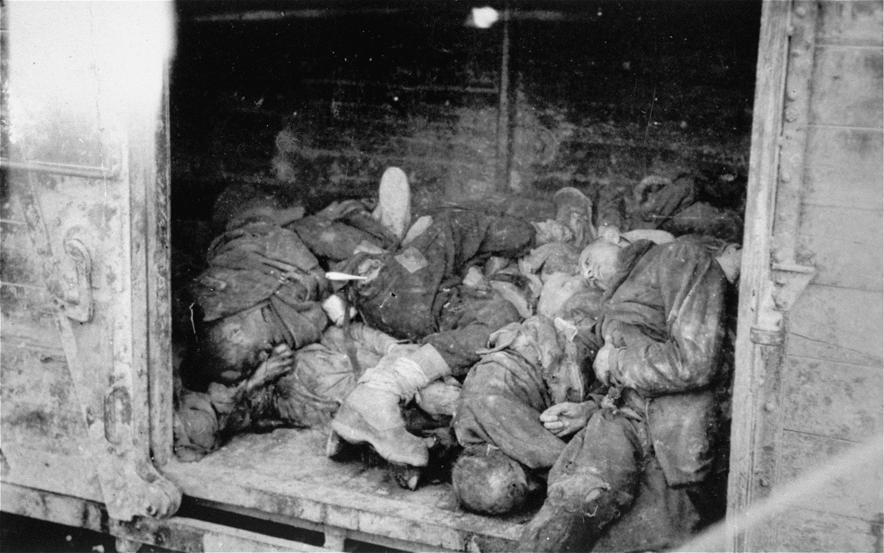 Collections Search United States Holocaust Memorial Museum