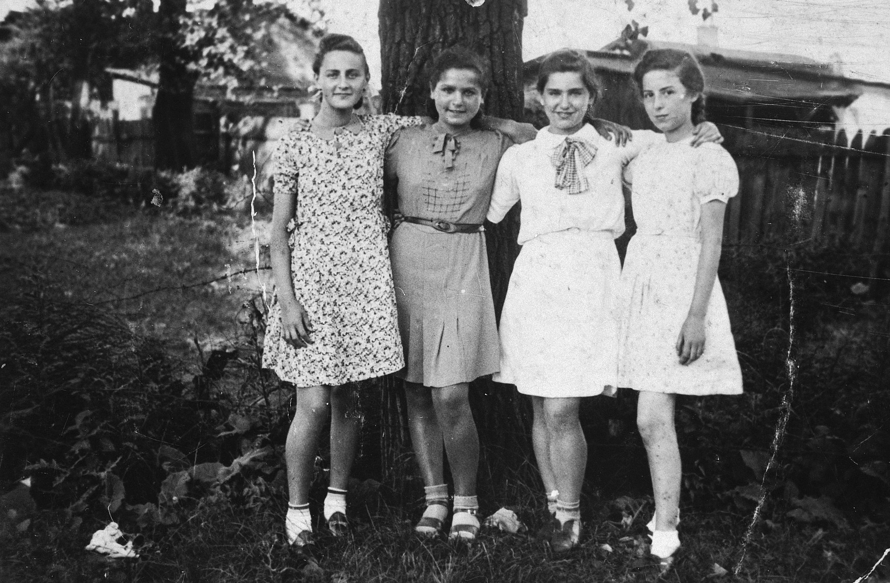 Collections Search United States Holocaust Memorial Museum