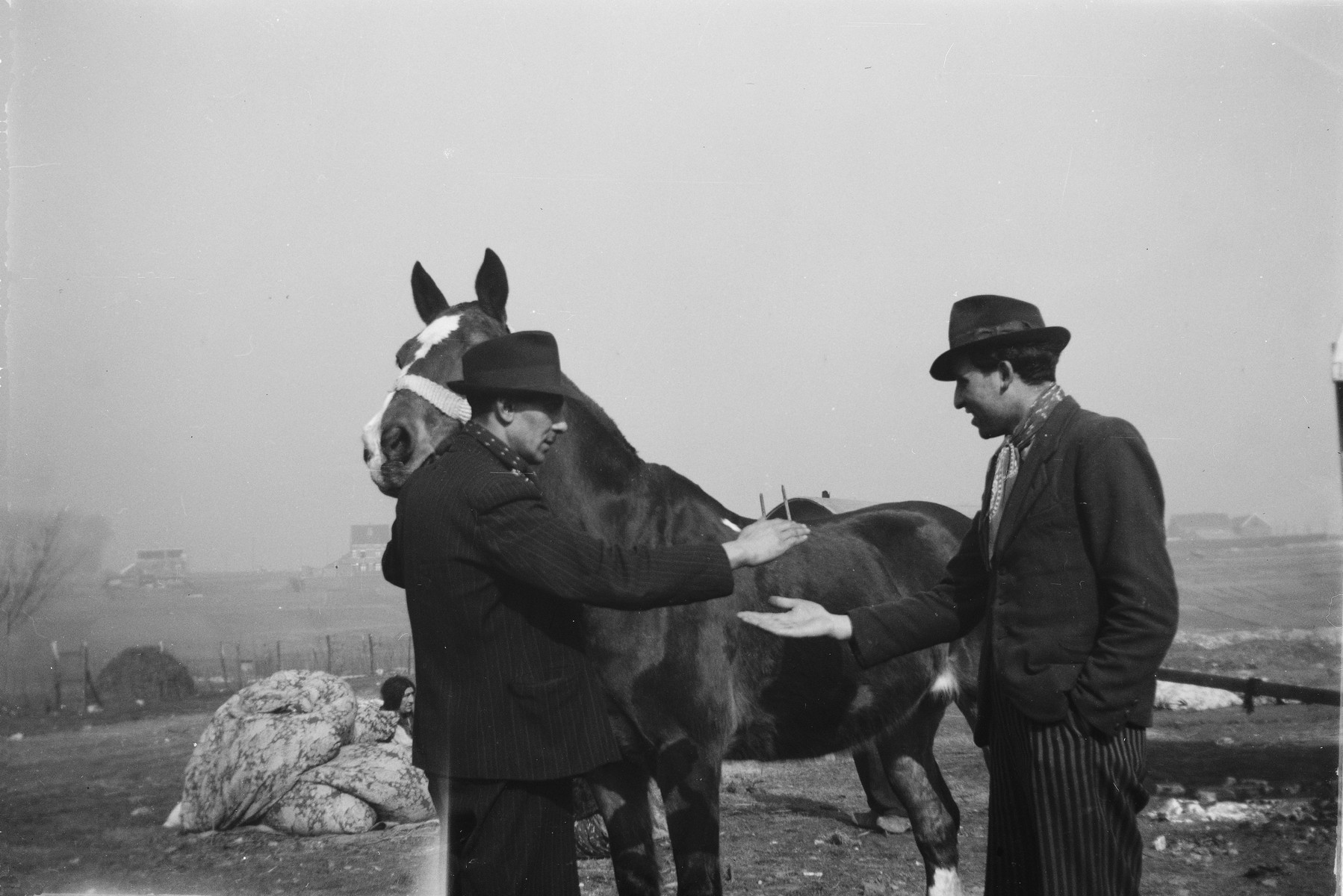 Two Romani (Gypsy) men make a deal on a horse. Collections Search United States Holocaust
