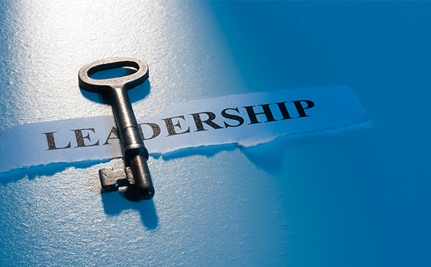 Our Services – The Collective Engine