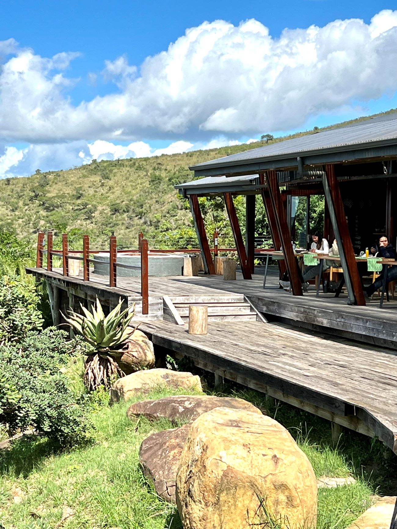 Drunken Elephants + Snapshots from a South African Safari Colleen