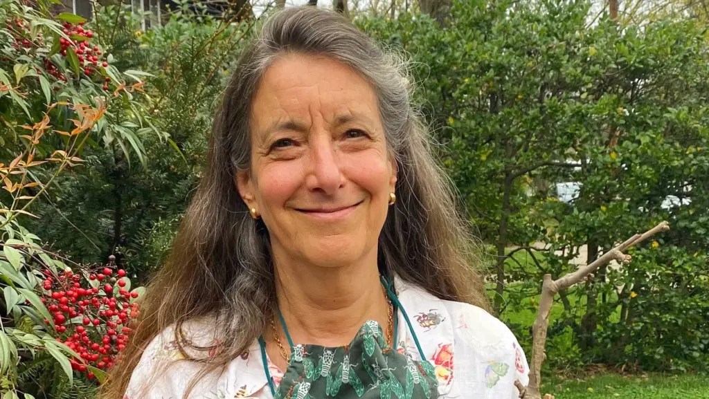 Insect Feast New Paper from Professor Explores the World of