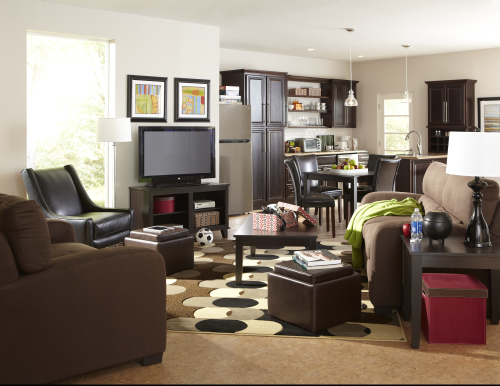 How to Afford Apartment Living in College College Cures