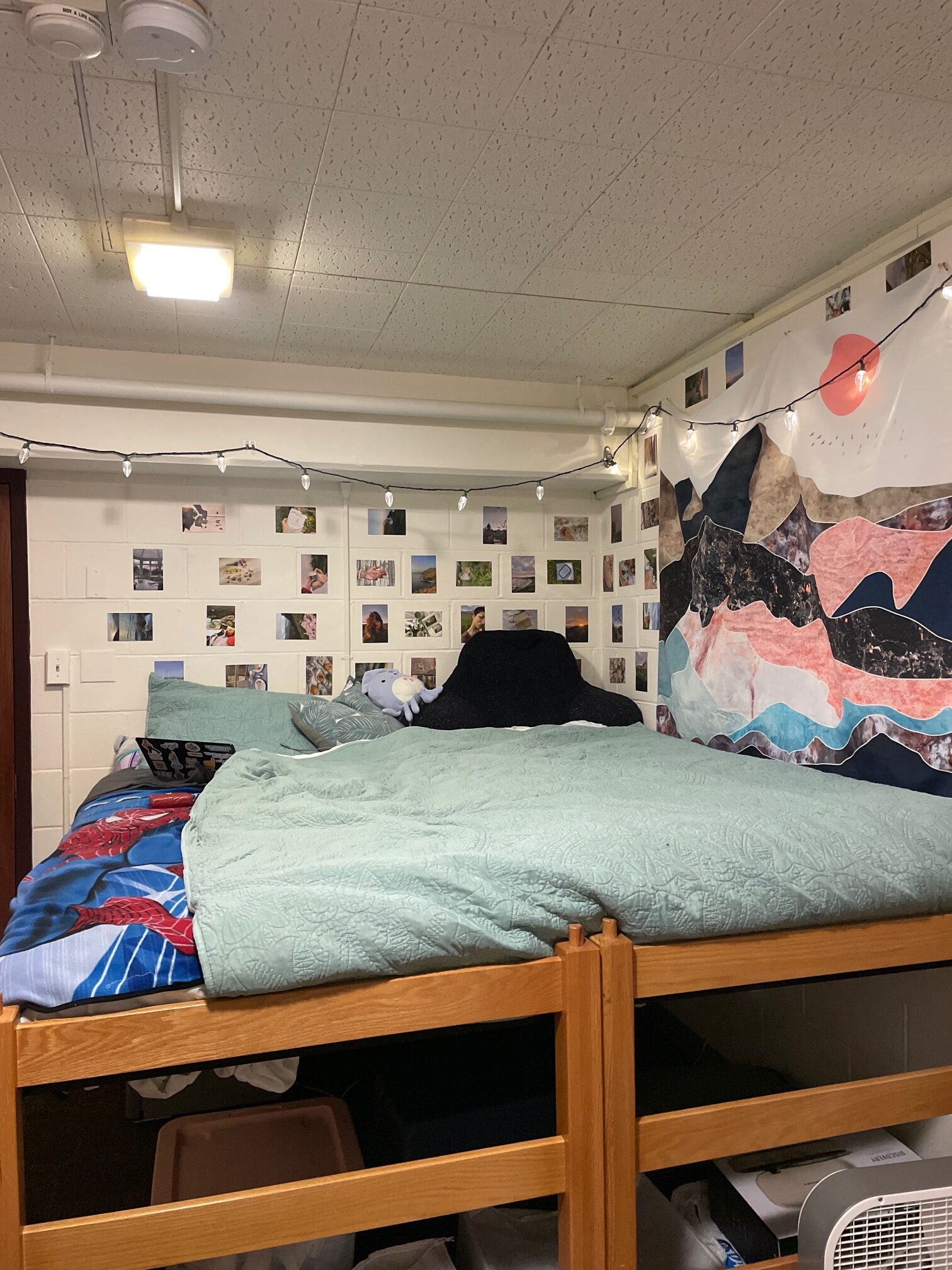 College Spotlight Loyola University Chicago College Expert