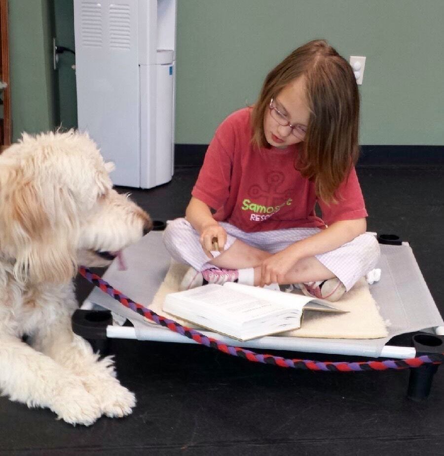 Therapy Dog Training in NH, ME & VT (603) 3694738 College for Pets
