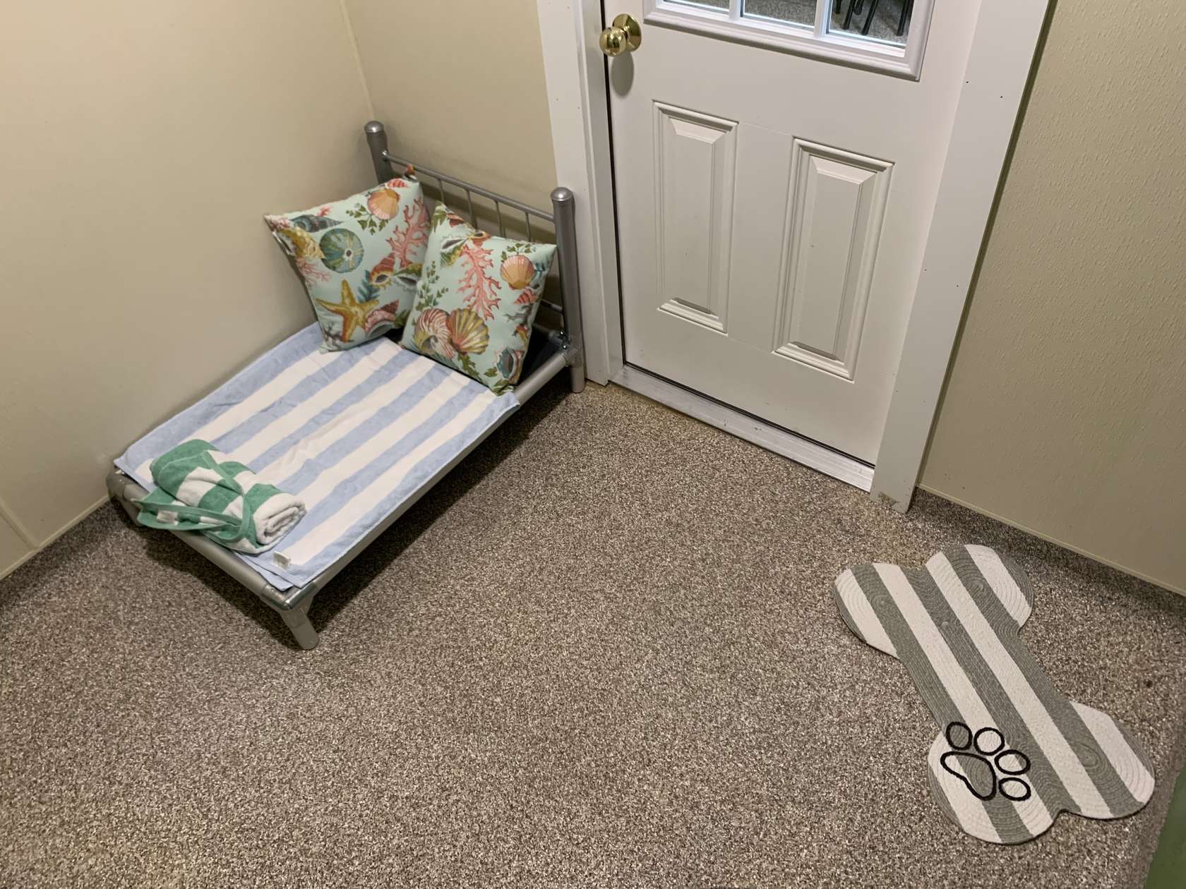 Luxury dog and cat boarding in NH (603) 5364219 College for Pets