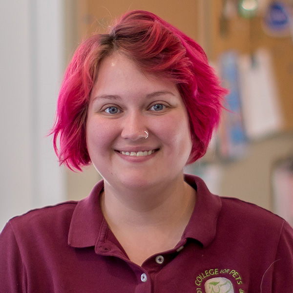 Kelsey College for Pets