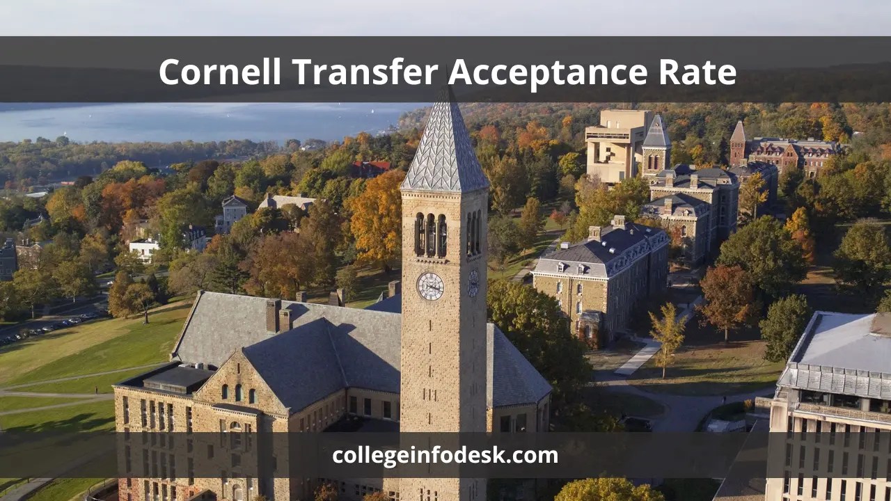 Cornell Transfer Acceptance Rate 2024 Strategies and Insights for