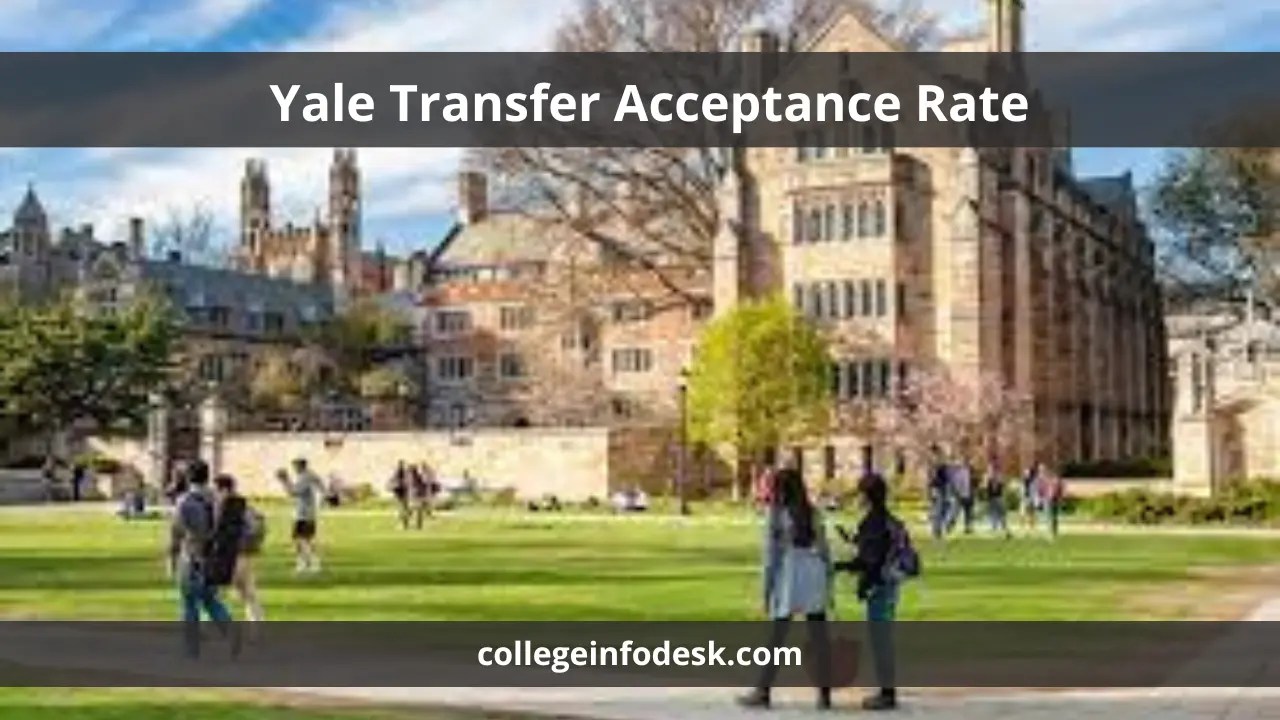 Yale Transfer Acceptance Rate 2024 Strategies and Insights for