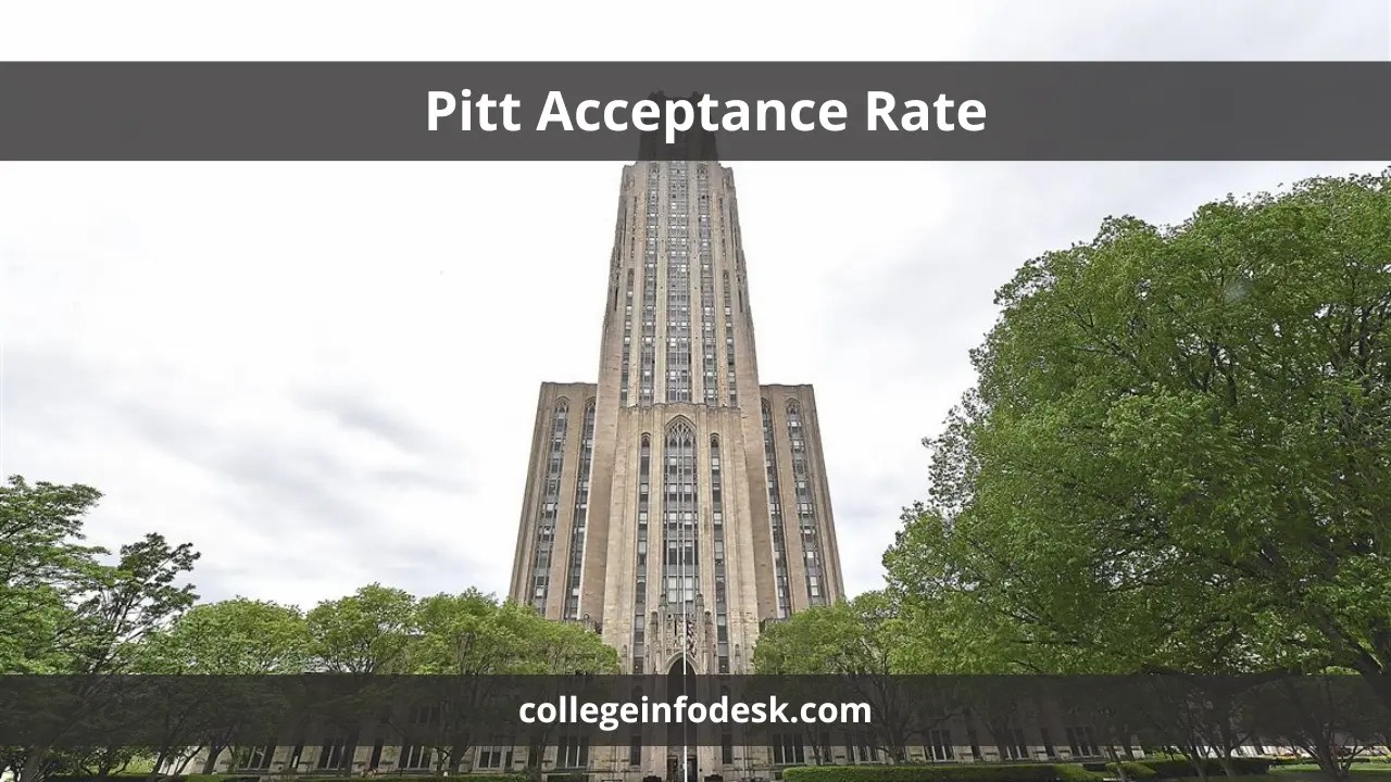Pitt Acceptance Rate Strategies and Insights for Admission Success