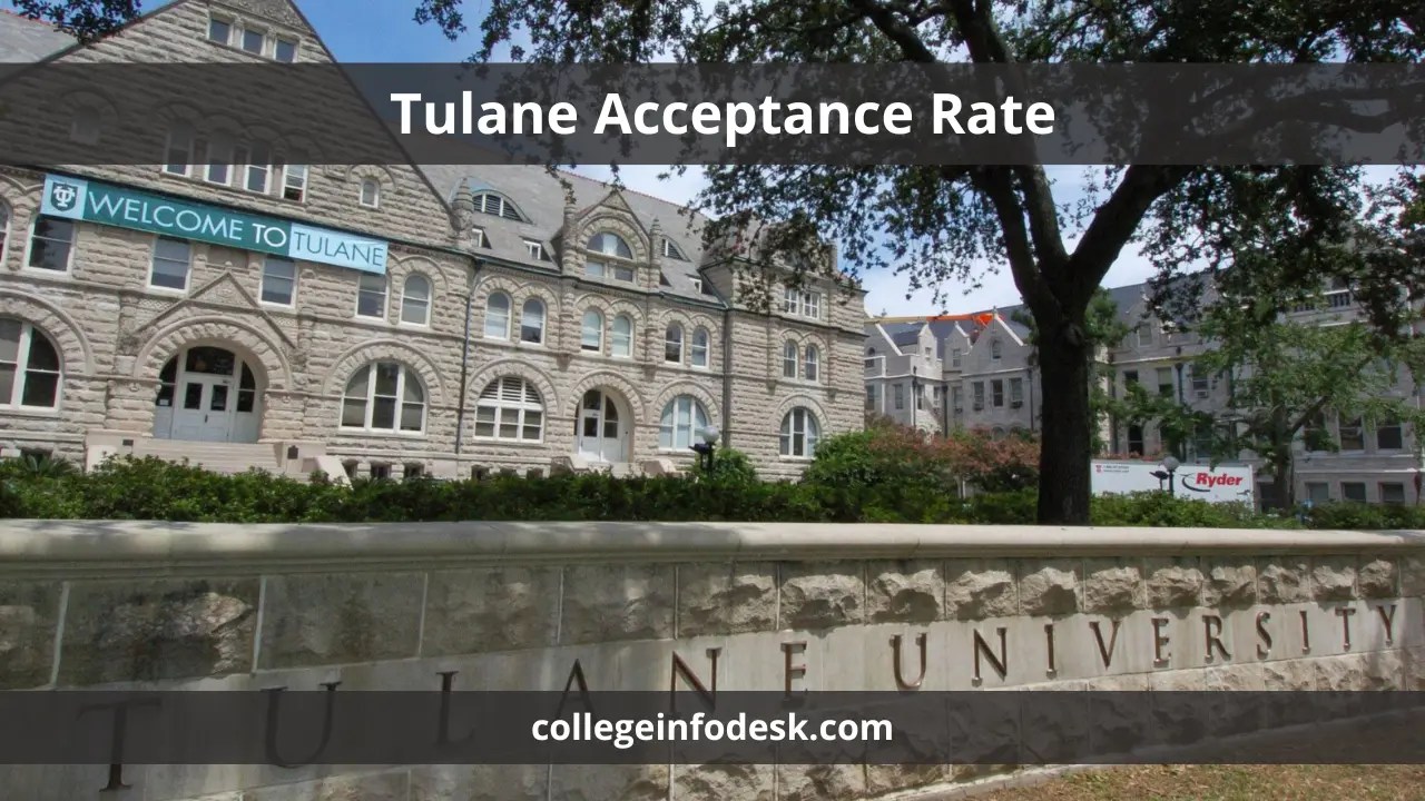 Tulane Acceptance Rate Strategies and Insights for Admission Success