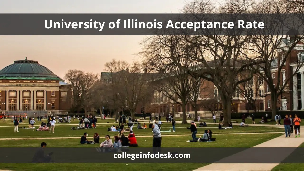 University of Illinois Acceptance Rate Strategies and Insights for