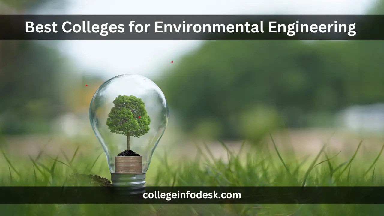 30 Best Colleges for Environmental Engineering in USA 2024 College