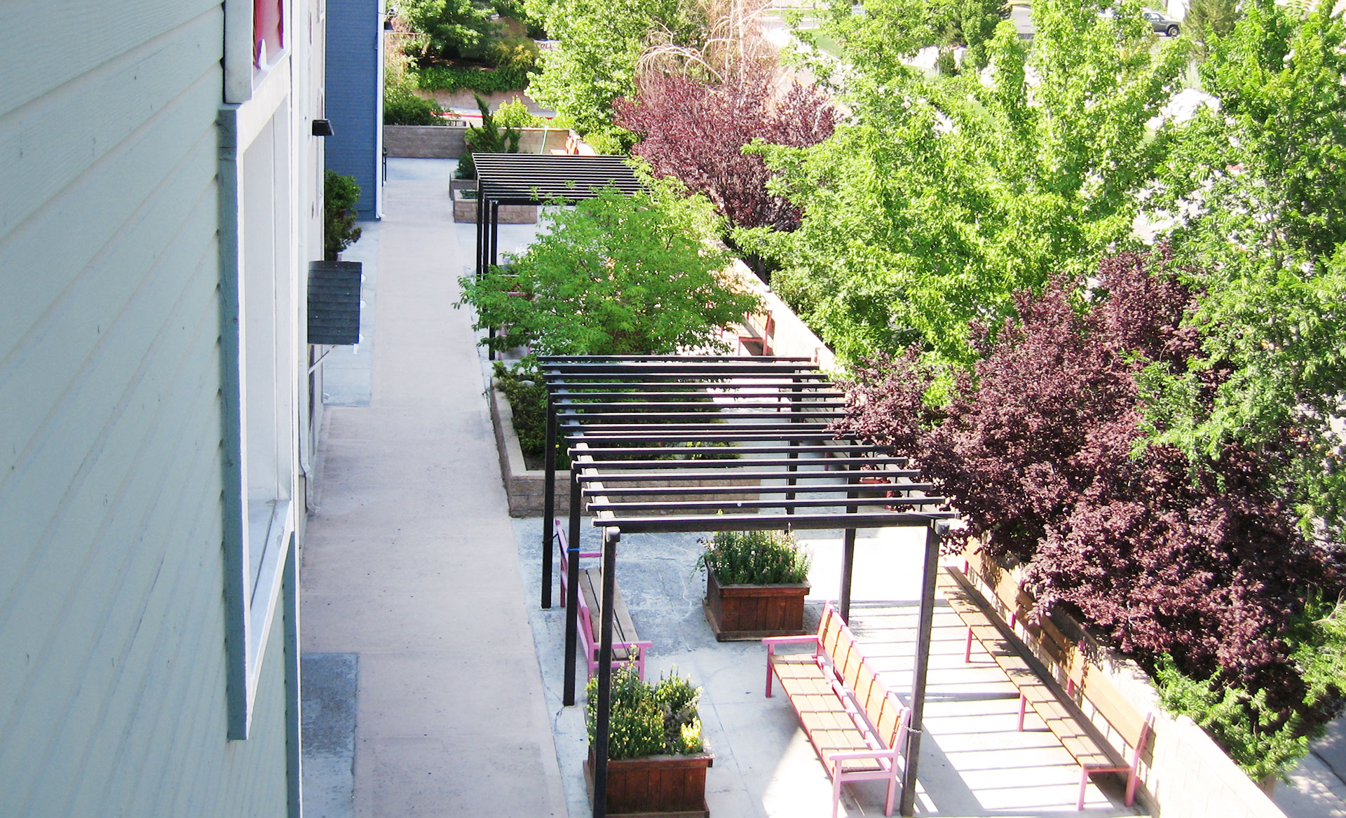 Best Reno Apartments for Rent Near UNR College Terrace Student Apts