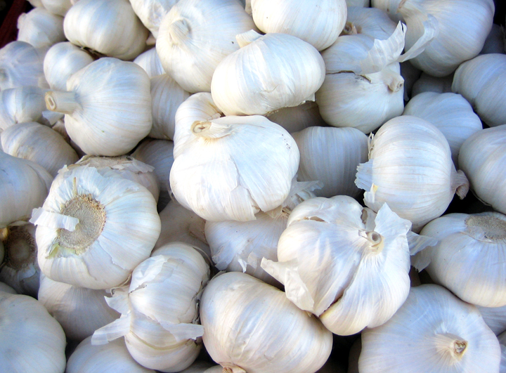 How Healthy Is Garlic? CollegeTimes
