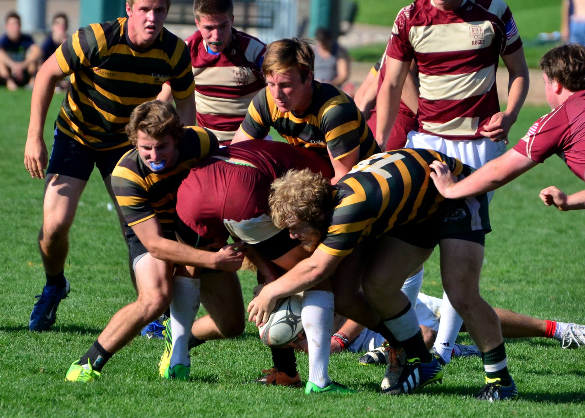 CSU rugby looking to set tone for season against rival CU The Rocky Mountain Collegian