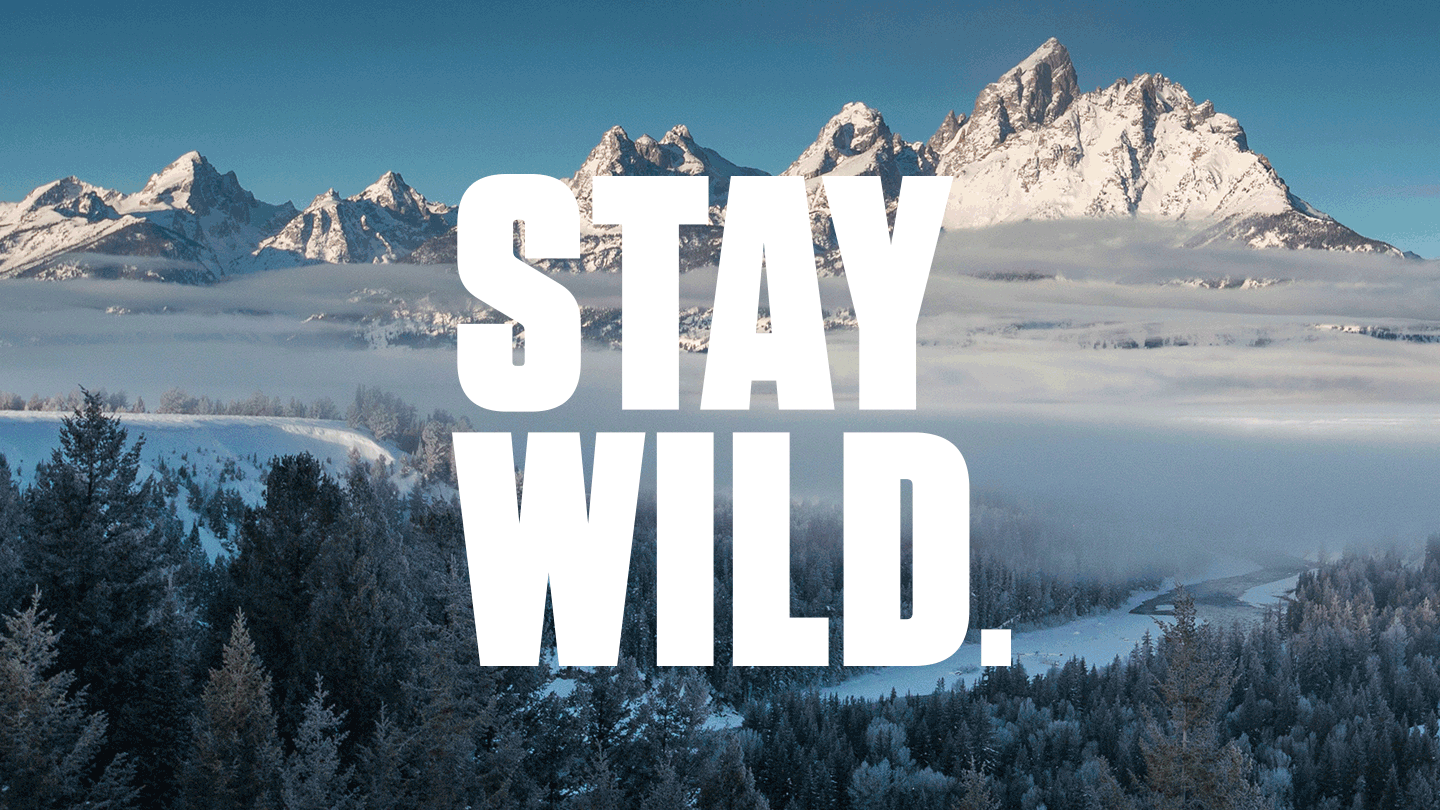 "Stay Wild" Campaign Promotes Jackson Hole News Colle McVoy