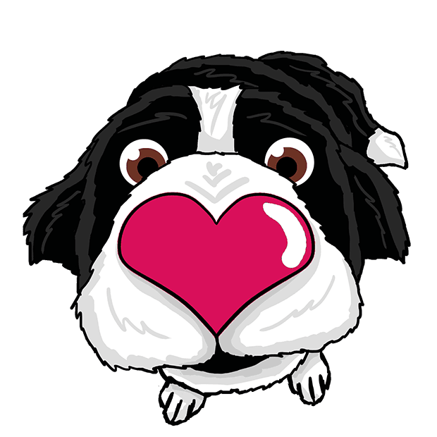 Border Collie App for iOS and Android phone CollieMoji