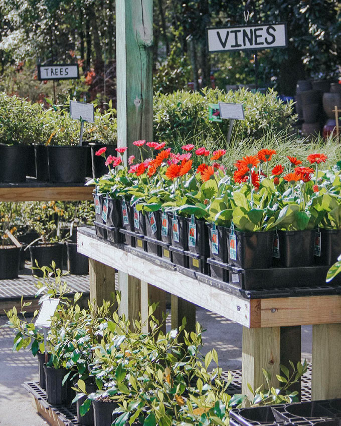 Birmingham AL Plant Nursery & Garden Shop Online Gallery