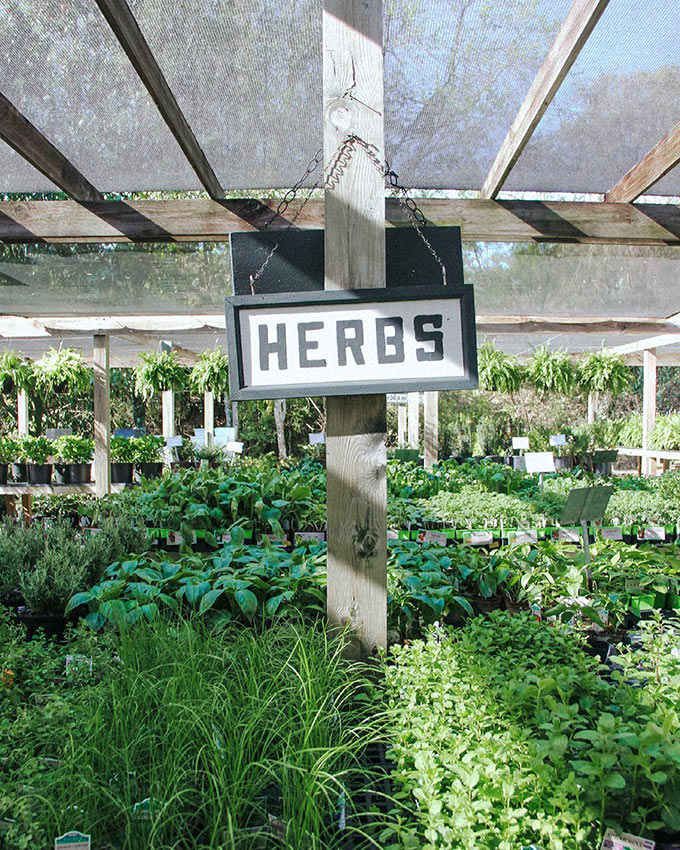 Birmingham AL Plant Nursery & Garden Shop Online Gallery