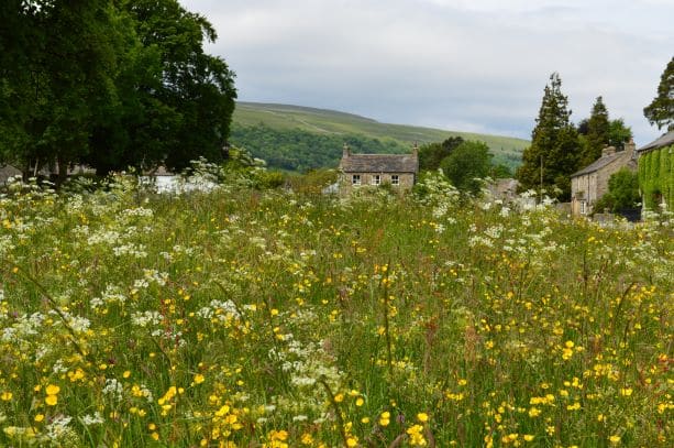 Biodiversity Net Gain to Influence Landscape Design Collington Winter