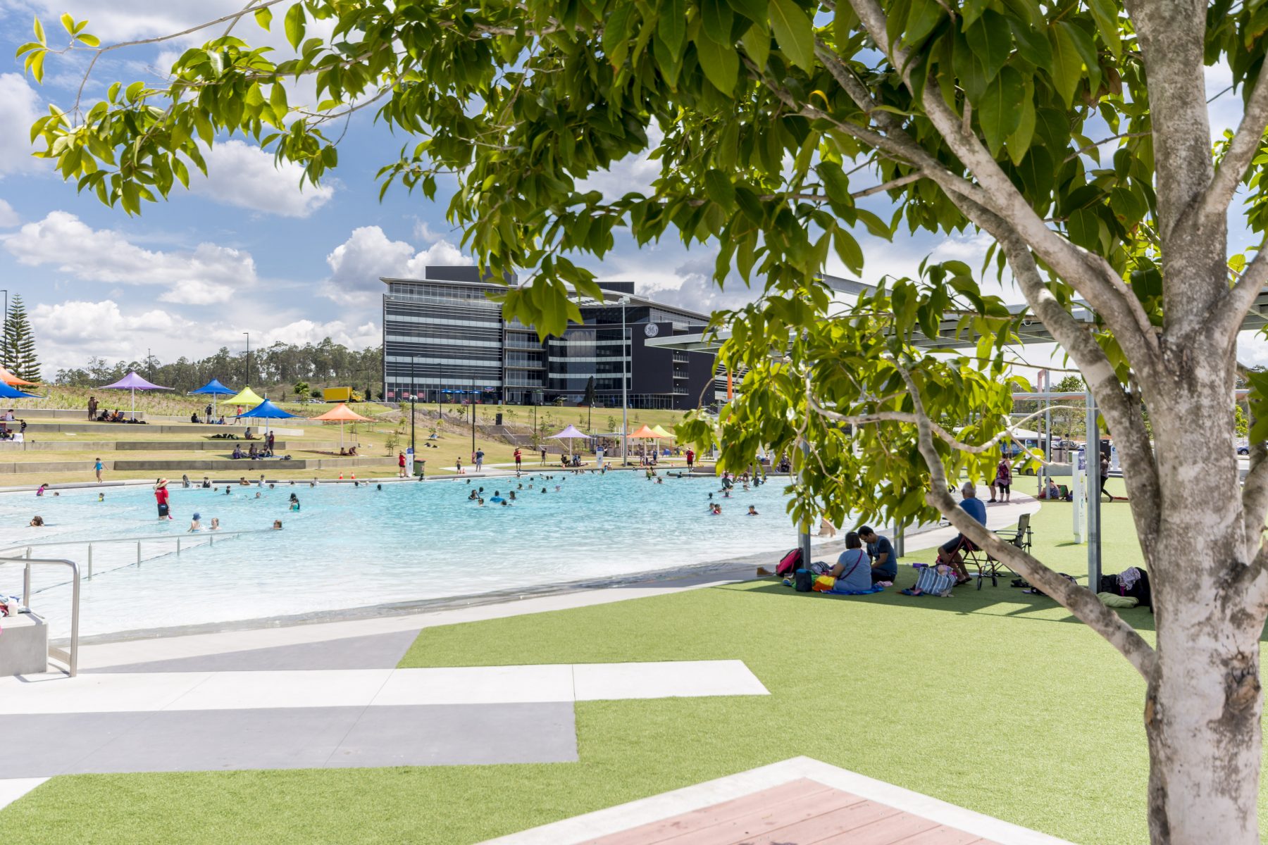 Collins Gregory Real Estate Springfield Lakes Property Management