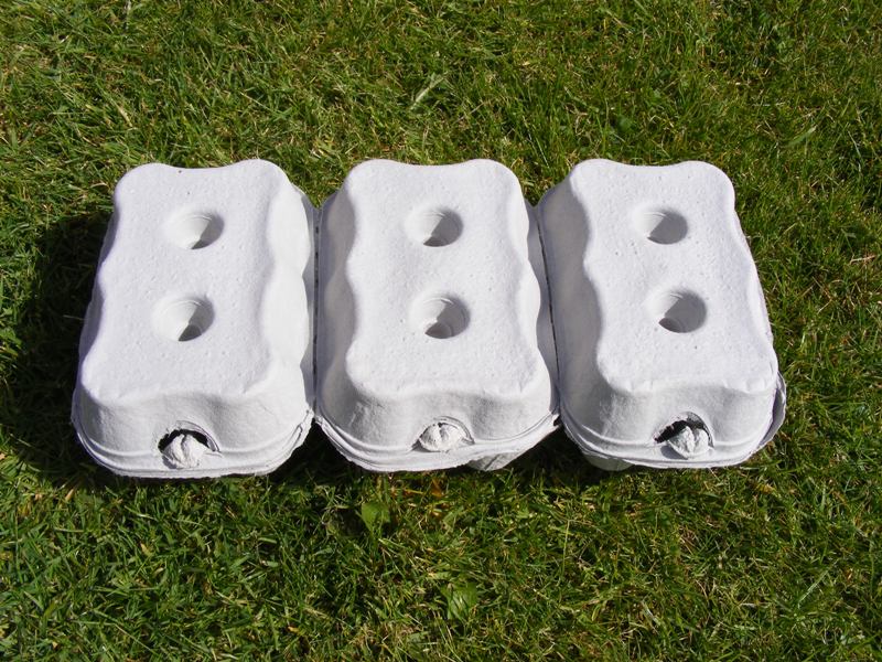 Egg Boxes 260 boxes of 6 Collins Nets Ltd