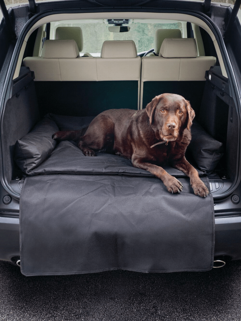 Seriously! 38+ Facts On Boots And Barkley Dog Bed Cover They to