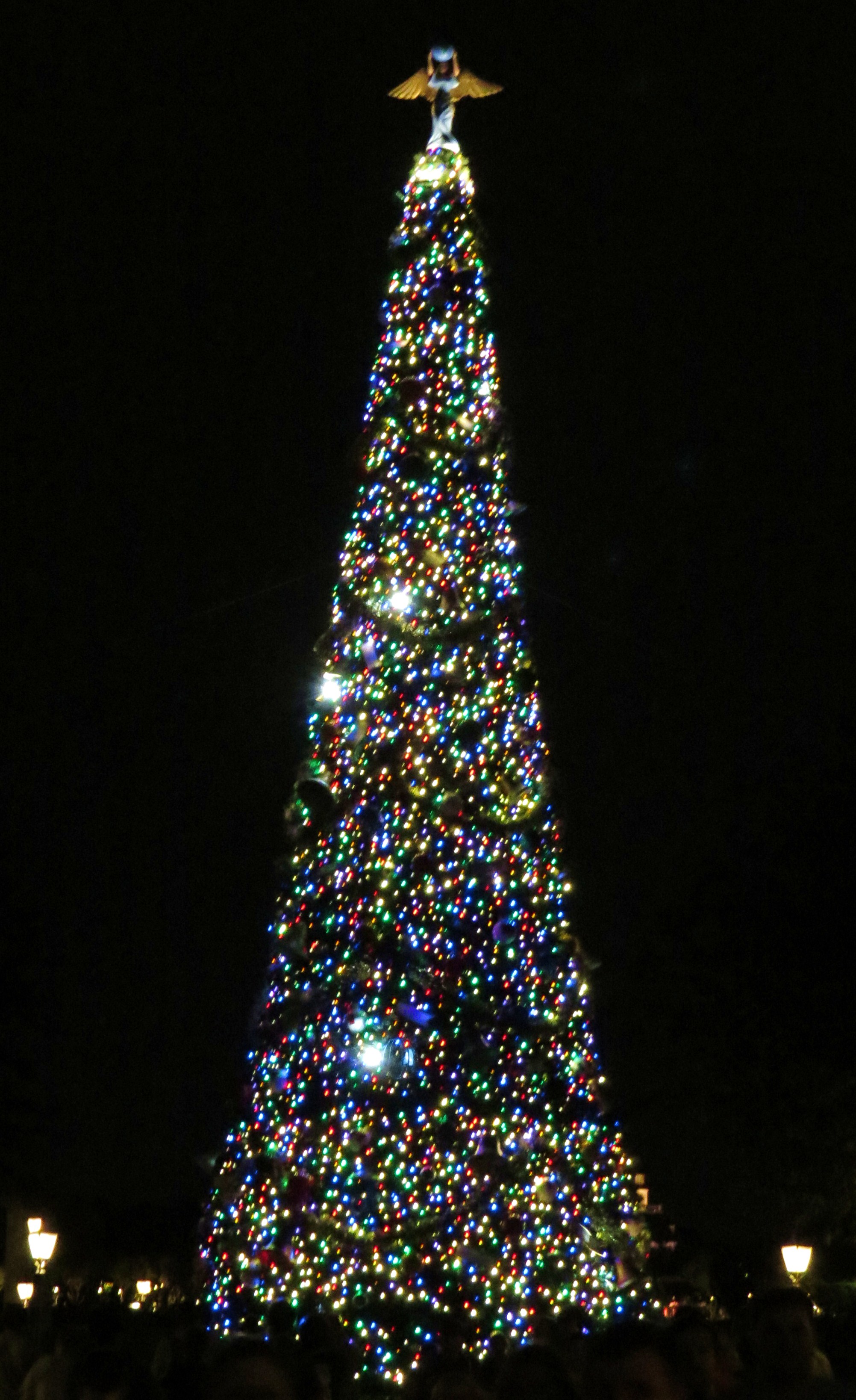 The Best Christmas Trees at Disney World! Our Magical Disney Moments